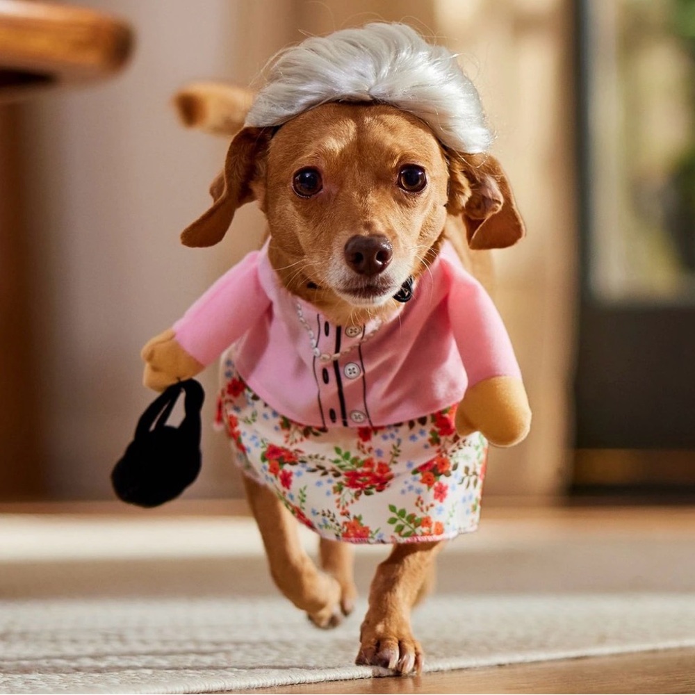 Grandma Pet costume NWOT - Picture 4 of 7